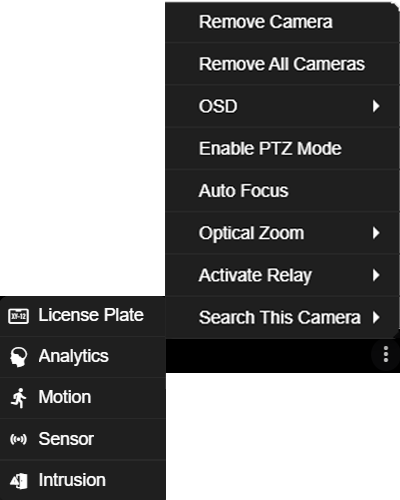 Video Player Camera Pane kebob menu.png