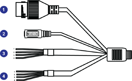 C1014D4-S Line Connections.png